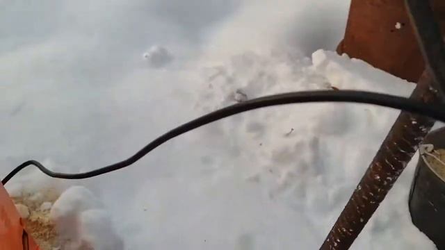 ИЗМЕЛЬЧИТЕЛЬ КОРМОВ ВИХРЬ ИК-3 в 1.Обзор.Первые впечатления смотреть онлайн