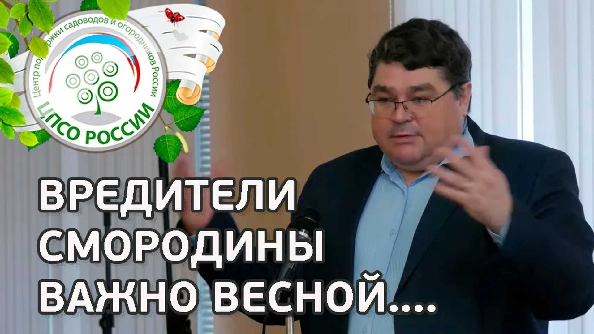 СДЕЛАЙТЕ ВЕСНОЙ ДЛЯ ЗАЩИТЫ СМОРОДИНЫ от болезней и вредителей . Болезни и вредители смородины. смотреть онлайн