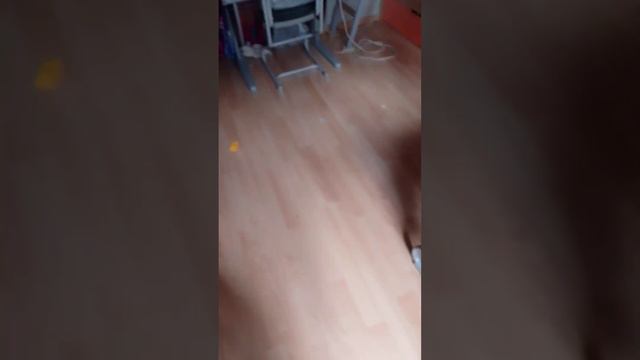 выглядит как 2 минуты но на самом деле 5-10 минут . смотреть онлайн