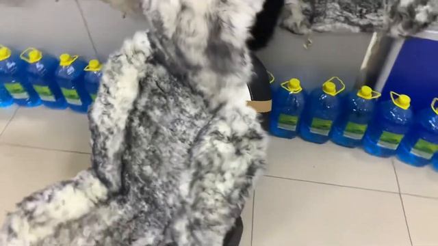 Меховые накидки из овчины, на переднее сиденье длинный мех со стриженной серединой. смотреть онлайн