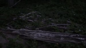 ПВХ лодка против большой волны. Ночёвка на острове без палатки. Неспокойное водохранилище.