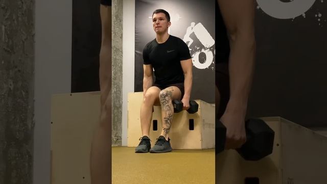 Отведение гантелей сидя смотреть онлайн