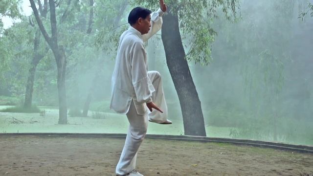 TaiChi Chen: Forma 13 Maestro Zhu Tian Cai en Chenjiagou. смотреть онлайн