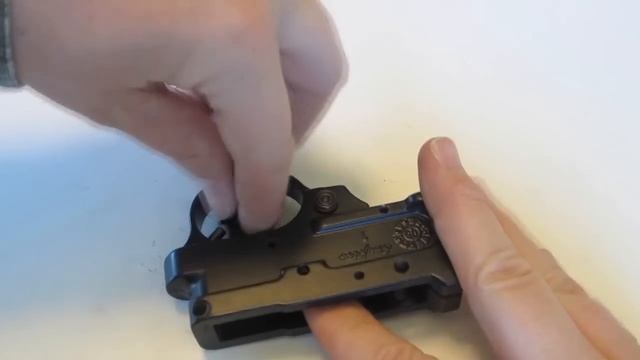 Ruger 10/22 Trigger Group Assembly Disassembly