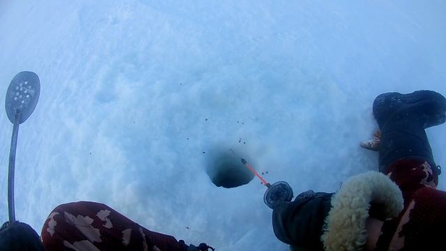 Рыбалка на чанах. Шипягино (Февраль 2020) смотреть онлайн