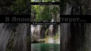 Факты о еде. Которых вы не знали... #факты #еда