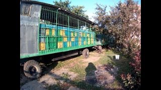 Стоимость кочёвки.Ослабли пчелосемьи, отводки.Потеря лётной пчелы-отменил переезд на подсолнух..mp4 смотреть онлайн