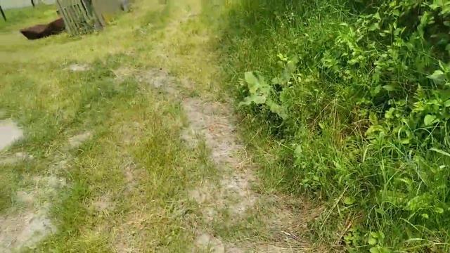 прогулочка вдоль улочки смотреть онлайн
