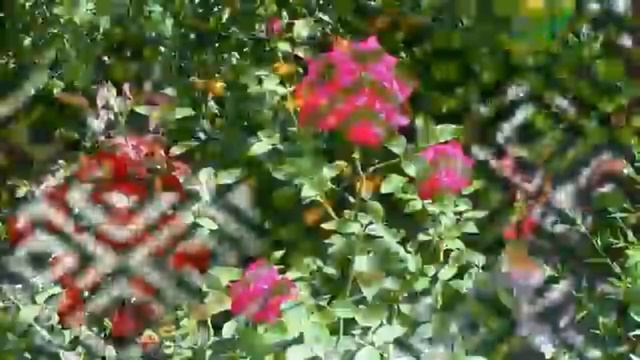 День рождения у племянницы) смотреть онлайн