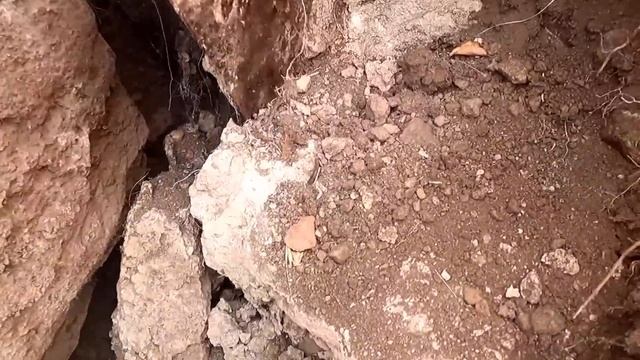Kayanın üzerinde demir bir kazık gördük. Demir kazığı çıkardığımızda altından hazine fışkırdı. ! смотреть онлайн