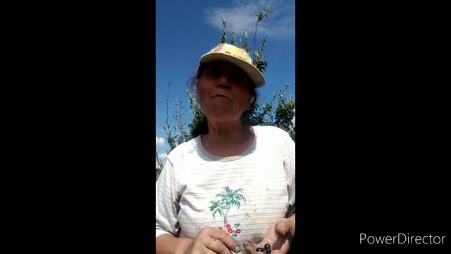Годовщина свадьбы родителей? 39 лет!!!!!!!!!! смотреть онлайн