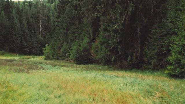 Ambient Meditation, Медитация и Релакс, Снятие Стресса, Перед Сном (Без Рекламы) смотреть онлайн