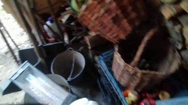 Edon Pt3000 генератор отзив.