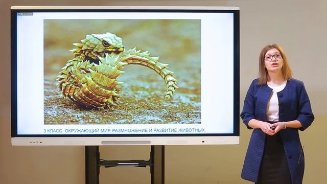 3 класс. Окружающий мир. Размножение и развитие животных смотреть онлайн