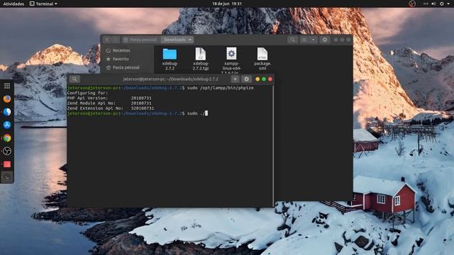 Como instalar e configurar o Xampp e Xdebug no Linux (Ubuntu 19) смотреть онлайн