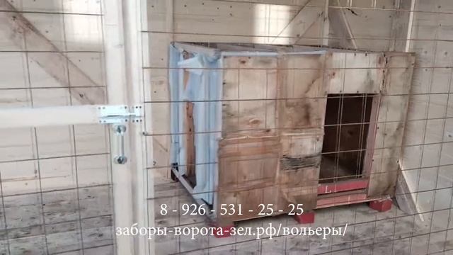 ВОЛЬЕР / ОБЗОР / 19.04.22 смотреть онлайн