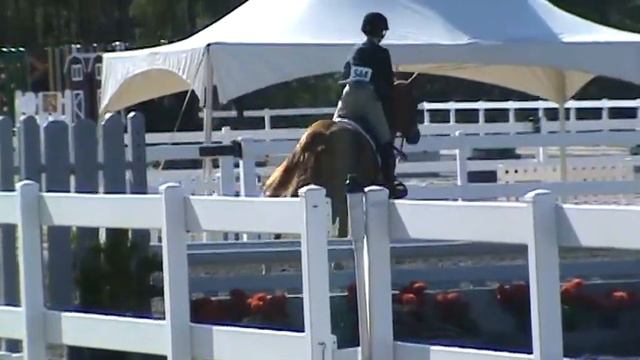 Annie Walters & Primus - Hunter Class Winner смотреть онлайн