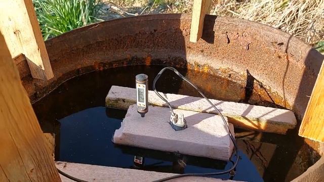 23 февраля, сахарный сироп пчёлам!