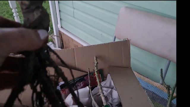 187 Посылки с розами от С.Овчарова и П.Козловой! смотреть онлайн