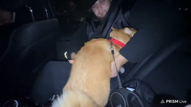 НЕ СЕКРЕТНЫЙ СТРИМ смотреть онлайн