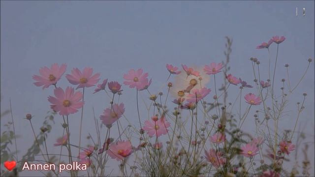 Andre Rieu - Golden Hits смотреть онлайн