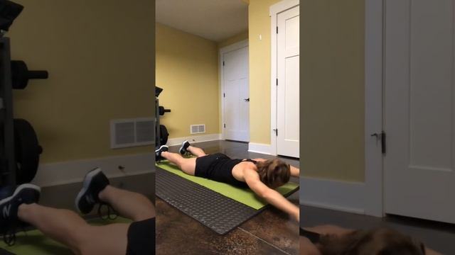 Back And Biceps Dumbbell Workout