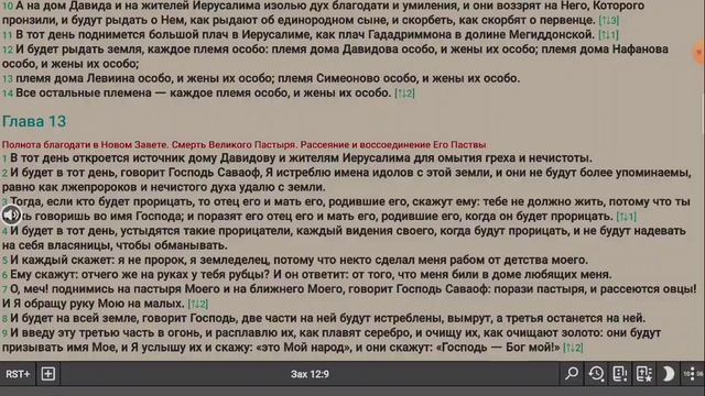 Великая скорбь.