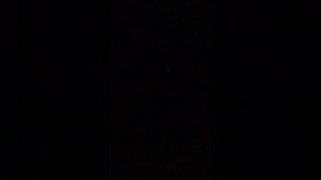 Чупакабра в ночном лесу смотреть онлайн