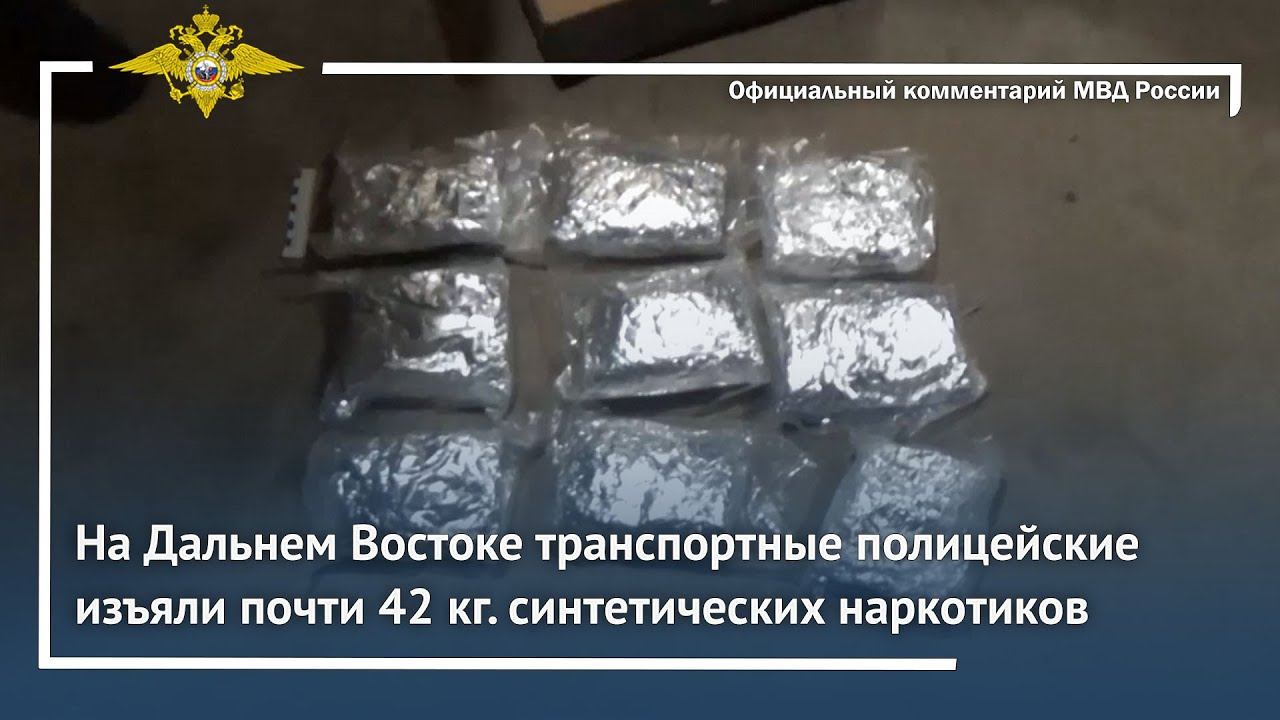 Ирина Волк: На Дальнем Востоке транспортные полицейские изъяли почти 42 кг. синтетических наркотиков смотреть онлайн