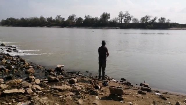 Мужчина на Кубани ловит рыбу одну за другой и говорит, что это тилапия.. смотреть онлайн