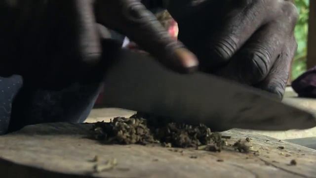 Путешествие ямайка смотреть онлайн