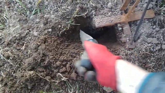 як зловити крота? смотреть онлайн