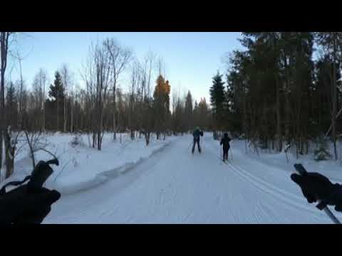 Панорамное видео 360, ГАБО Московская область, Габовская лыжня - первая петля смотреть онлайн