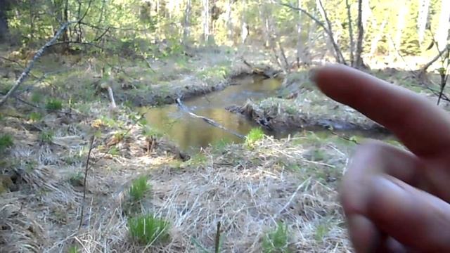 Мою Золото!Золото под ногами! Я нашел его в ручье старатель ключи,ручьи золотые. ч2 речное золото смотреть онлайн