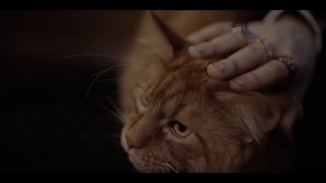 ТОП 5 ЛУЧШИХ ПЕСЕН ЮТУБЕРОВ смотреть онлайн