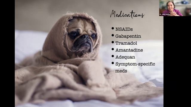 10 Favorite Things for Senior Dogs смотреть онлайн