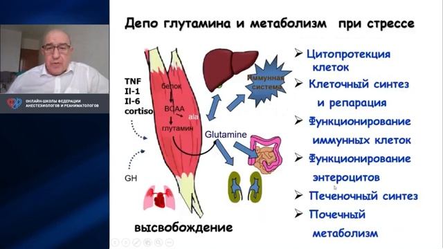 Нутритивная поддержка при ожогах Шестопалов А.Е.