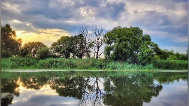 Медитация для получения ресурса:прогулка в лесу и у воды. смотреть онлайн