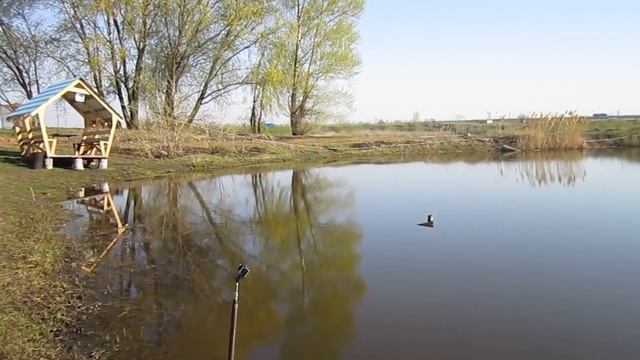 Фидерная рыбалка на карпа. Пруд "Перепеловский" смотреть онлайн