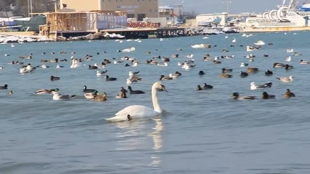 Анапа зимой смотреть онлайн