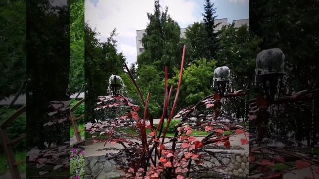 Барнаул. Фото города , лето 2018 года смотреть онлайн