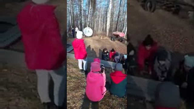 Бурундук в Зейском заповеднике вышел к людям смотреть онлайн