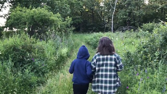 Альметьевск 2022, Россия, Russia. Заехали в лес прогуляться. смотреть онлайн