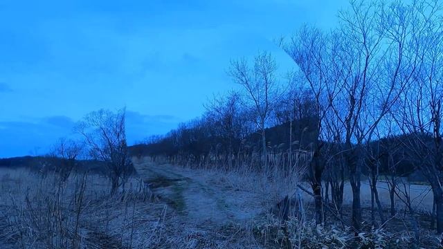 Вызаривание подсадных. Часть 1. "Зорька утренняя." смотреть онлайн