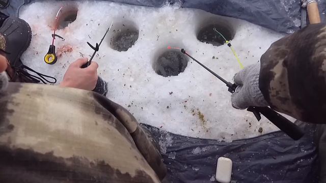 Рыбалка 5 декабря 2020г. Ловим чибачков и окушков. смотреть онлайн