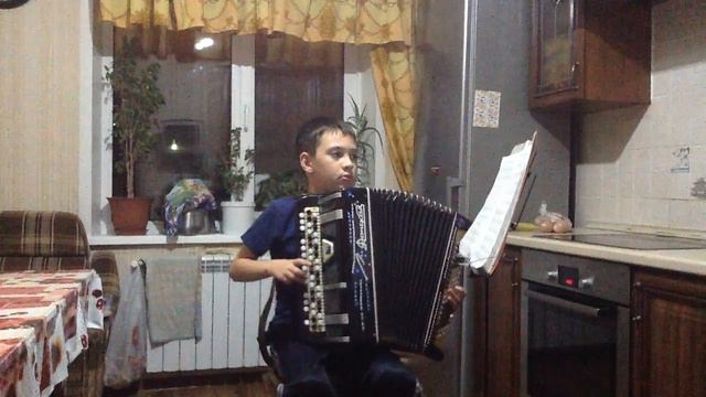 Профи БАЯНИСТ!!! смотреть онлайн