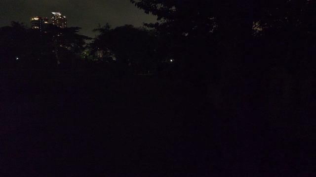 4K・ Ночная прогулка от статуи Хатико в Сибуя к могиле Хатико и башни Токио