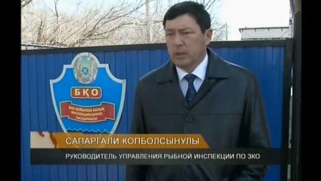 Уральск посетили председатель комитета рыбного хозяйства республики смотреть онлайн