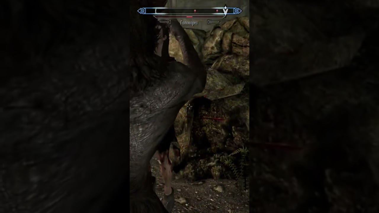 Бандит Везунчик в Скайрим! #mrcatgames #skyrim #tes #tes5 #скайрим #skyrim100