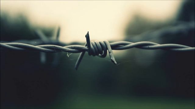 Беломорканал - Проза жизни смотреть онлайн